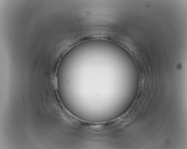 X0000089670411200706210757