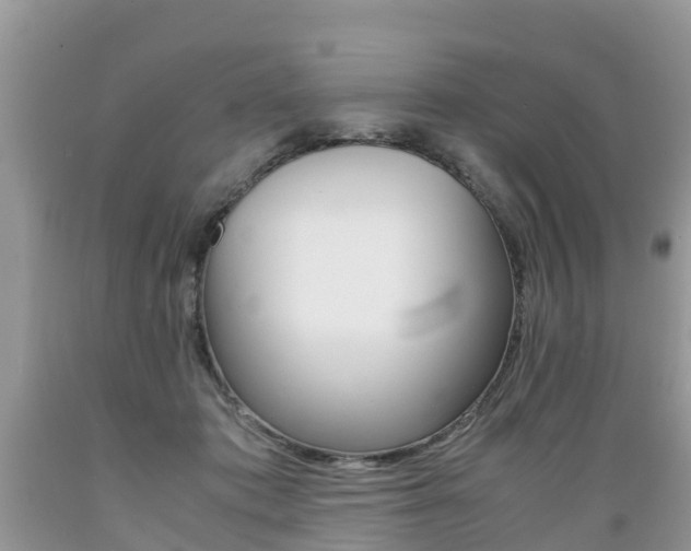 X0000089670413200706210757
