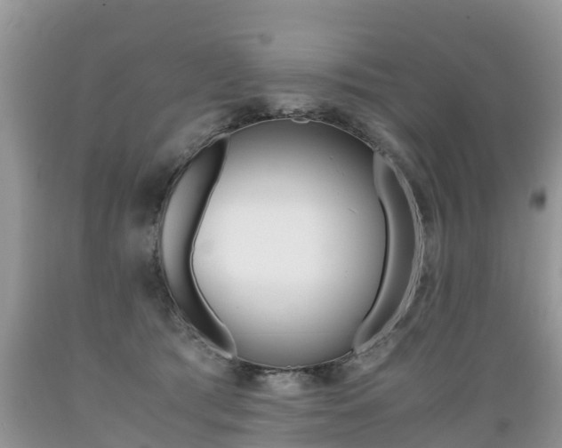 X0000089670417200706210757
