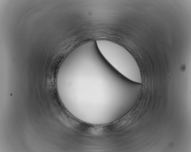 X0000089670418200706210757