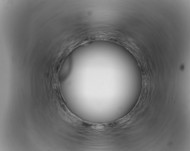 X0000089670419200706210757