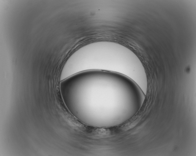 X0000089670421200706210757