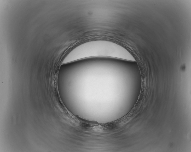 X0000089670423200706210757