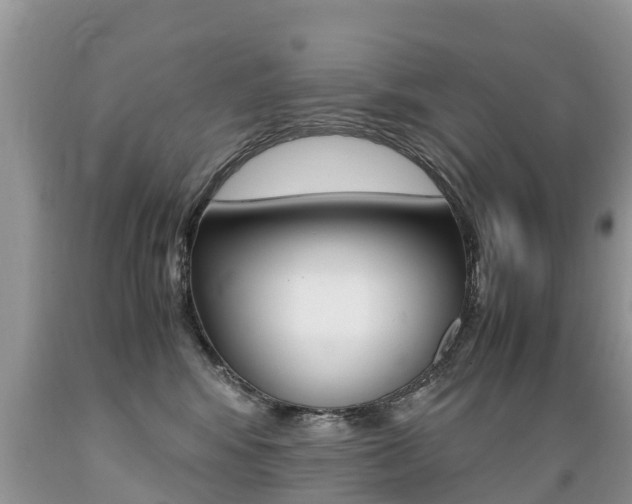 X0000089670424200706210757