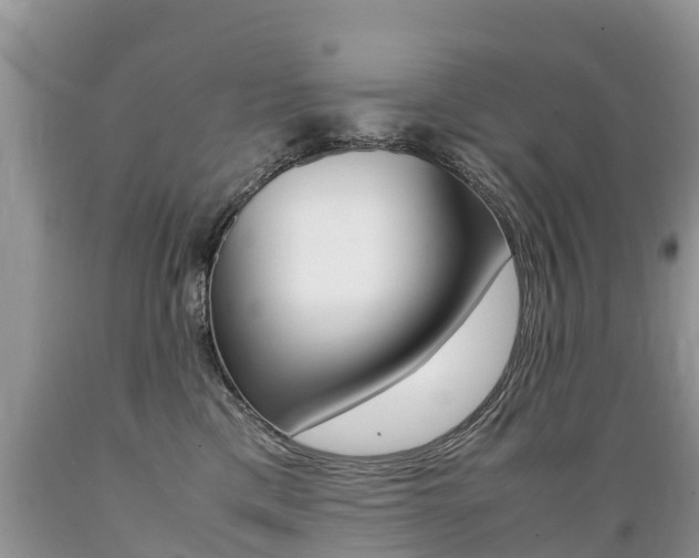 X0000089670425200706210757