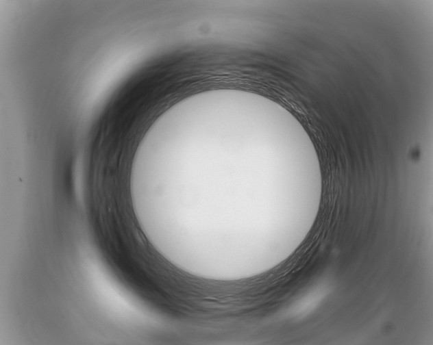 X0000089670431200706210757
