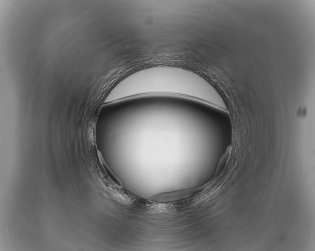 X0000089670432200706210757