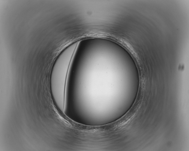 X0000089670433200706210756