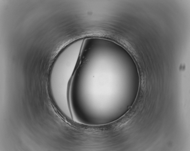 X0000089670434200706210756