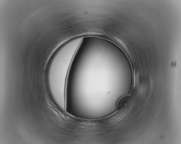 X0000089670435200706210756
