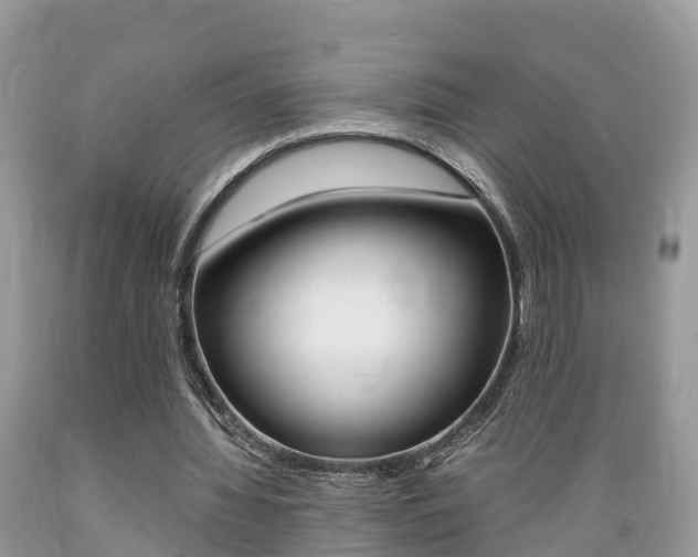 X0000089670436200706210756