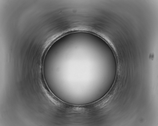 X0000089670437200706210756