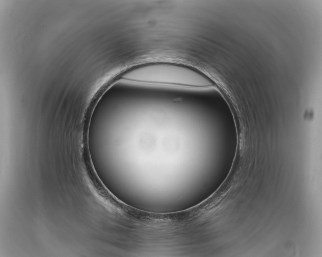 X0000089670438200706210756