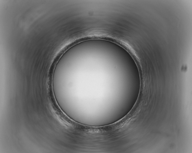 X0000089670439200706210756