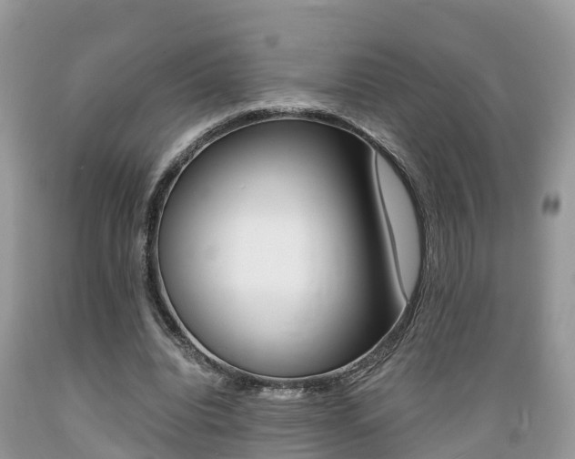 X0000089670440200706210756