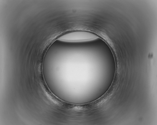 X0000089670441200706210756