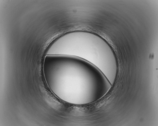 X0000089670442200706210756
