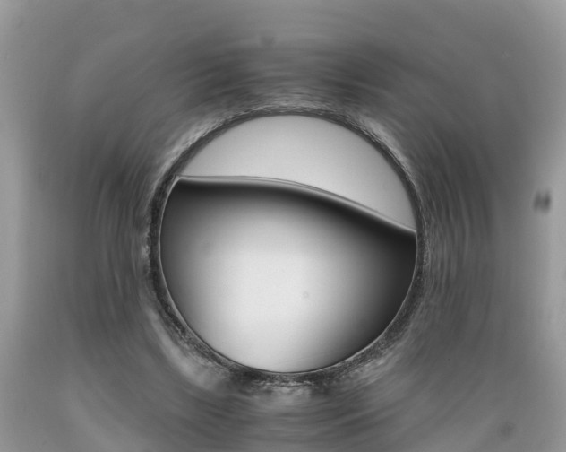 X0000089670443200706210756