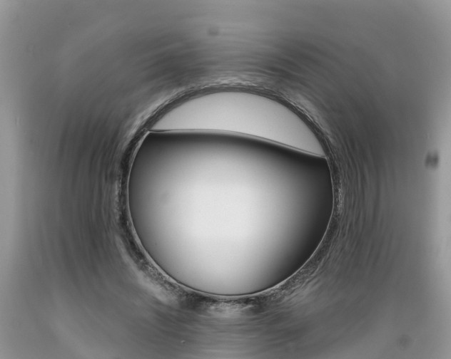 X0000089670444200706210756