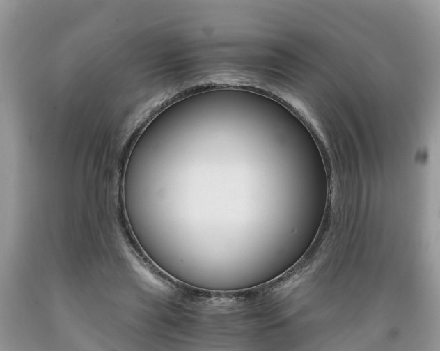 X0000089670445200706210757