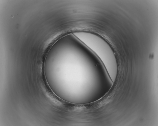 X0000089670446200706210757
