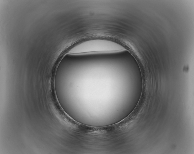 X0000089670447200706210757
