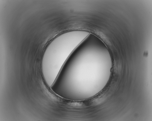 X0000089670449200706210757