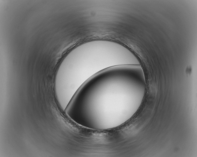 X0000089670450200706210757