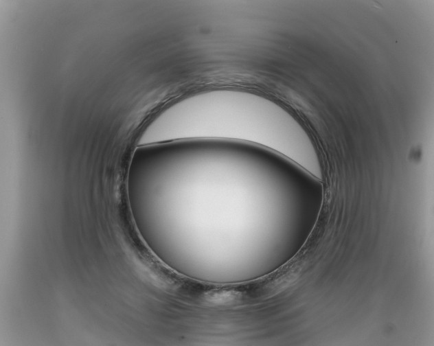 X0000089670452200706210757