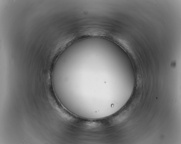 X0000089670453200706210757