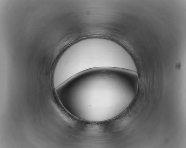 X0000089670454200706210757