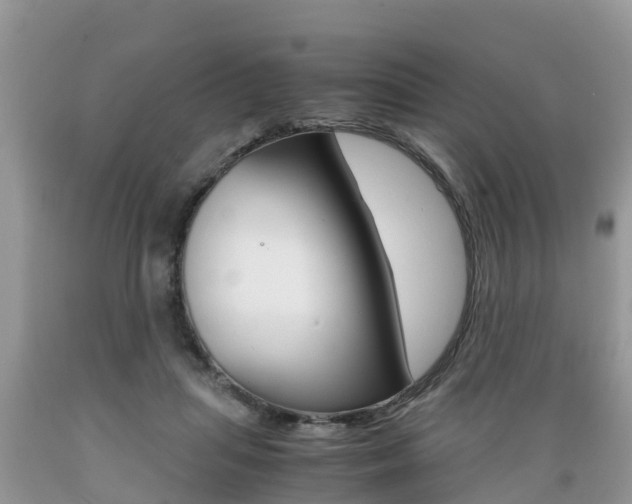 X0000089670455200706210757
