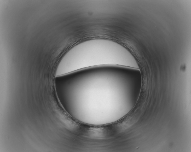 X0000089670457200706210757