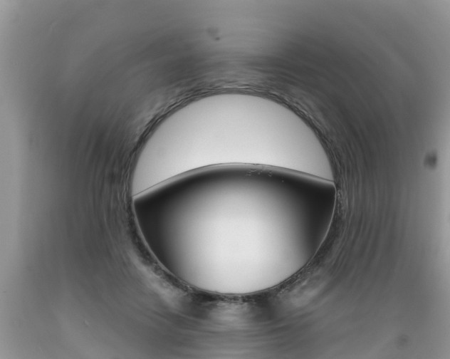 X0000089670458200706210757