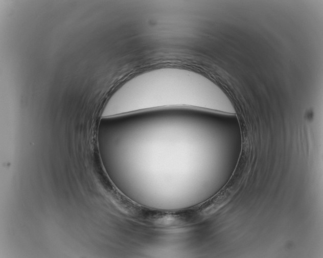X0000089670460200706210757