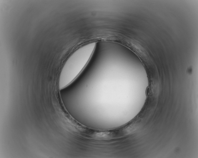 X0000089670461200706210757