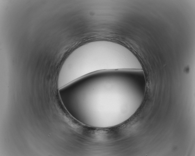 X0000089670462200706210757