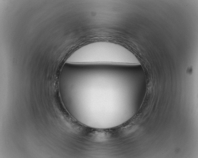 X0000089670464200706210757