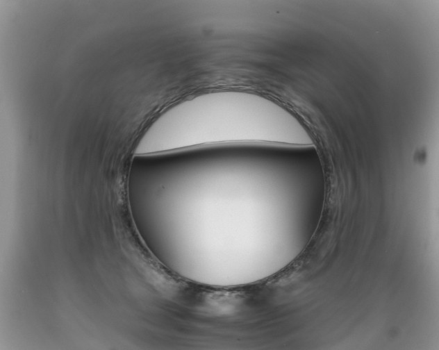 X0000089670465200706210757