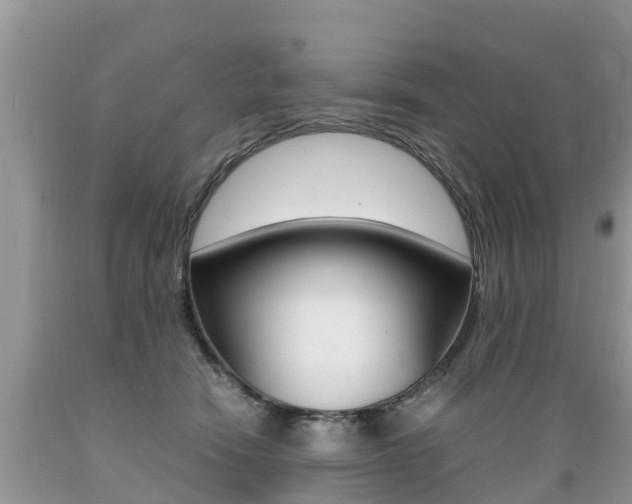 X0000089670466200706210757