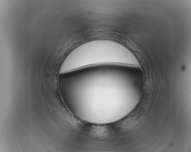 X0000089670469200706210757