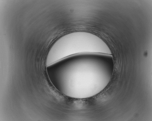 X0000089670470200706210757