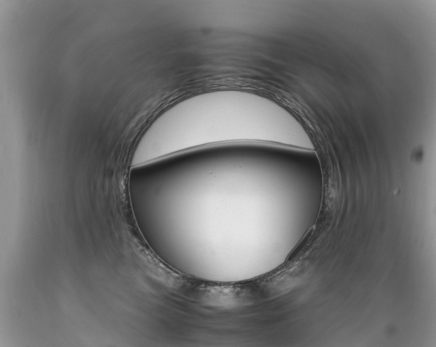 X0000089670473200706210757