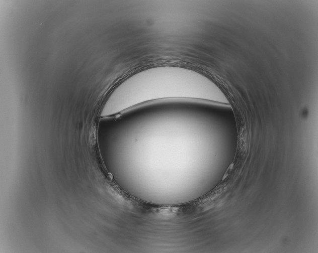 X0000089670474200706210757