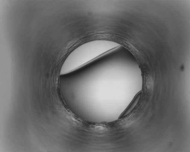 X0000089670475200706210757