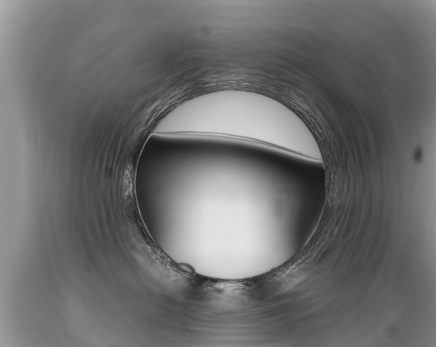 X0000089670478200706210757