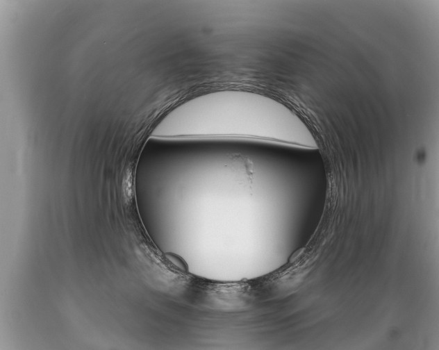 X0000089670479200706210757