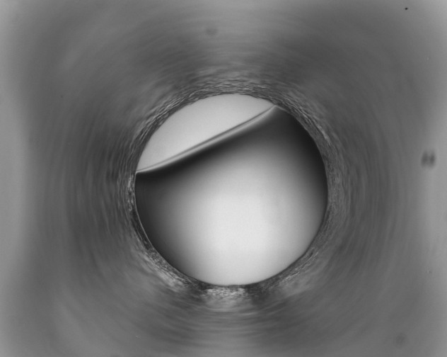 X0000089670480200706210757
