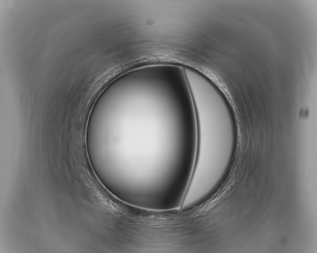 X0000089670481200706210756