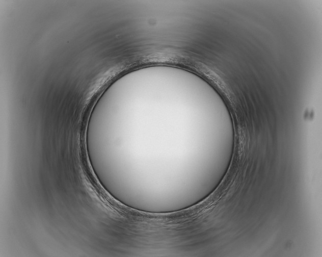 X0000089670482200706210756